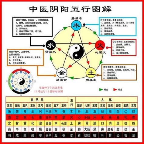 中醫五行屬性|中醫知識 